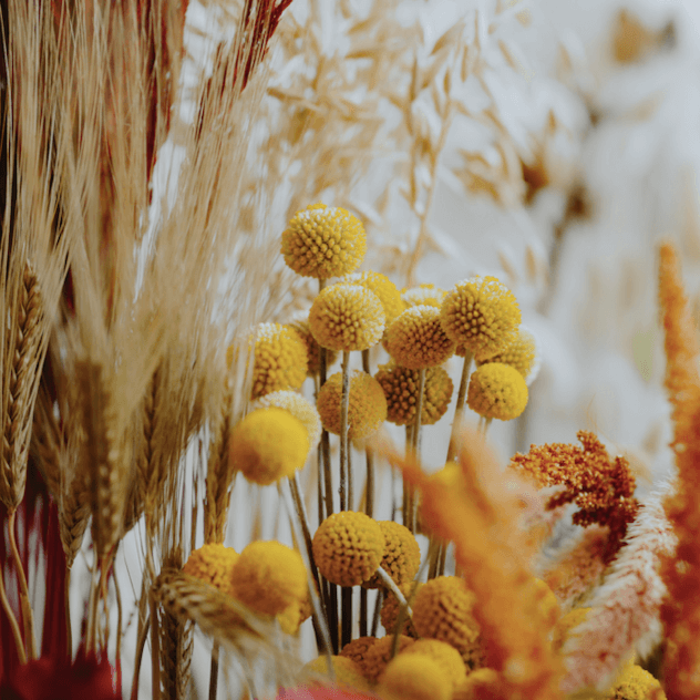 Fleurs séchées en bottes dans les tons jaunes et oranges