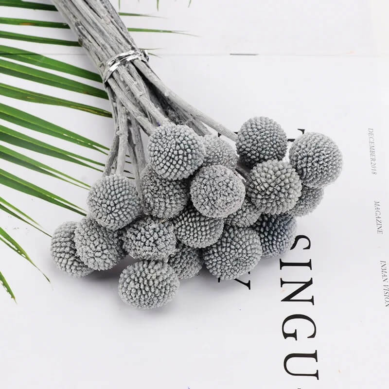 Botte de Craspédias Gris / 10 Maison Gaya Bottes