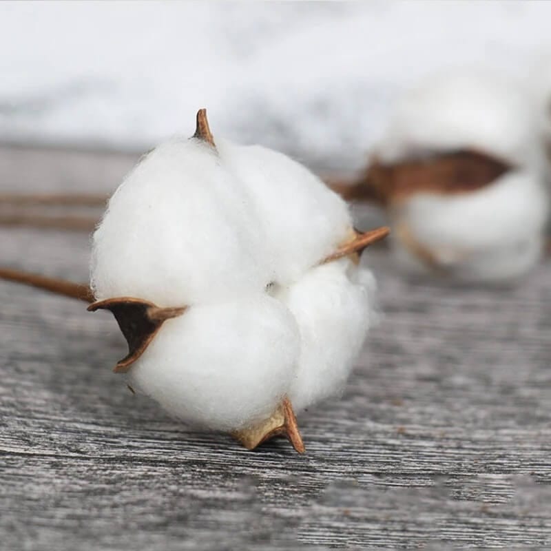 Botte Fleurs de Coton Maison Gaya Bottes