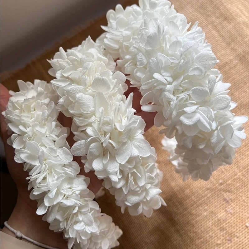 Couronne de Tête Mariage Blanche en Hortensias Stabilisés Maison Gaya Couronne de tête