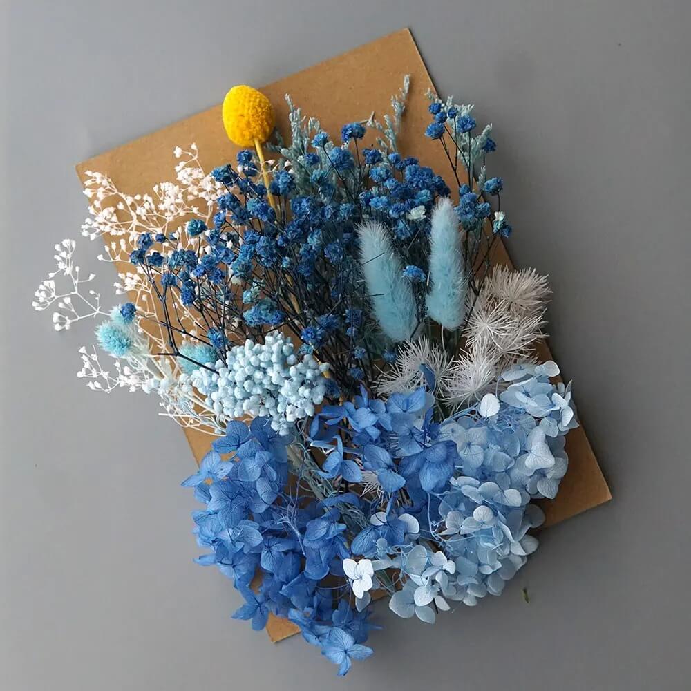 Fleurs Séchées en Vrac Bleues pour DIY Maison Gaya Fleurs en vrac