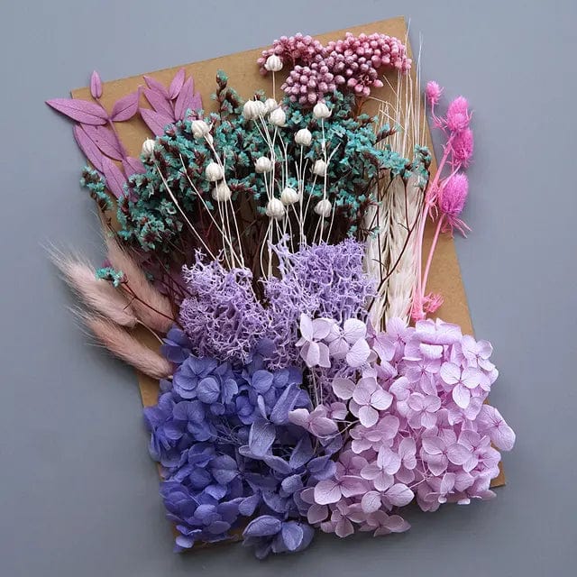 Fleurs Séchées en Vrac Bohèmes pour DIY Maison Gaya Fleurs en vrac