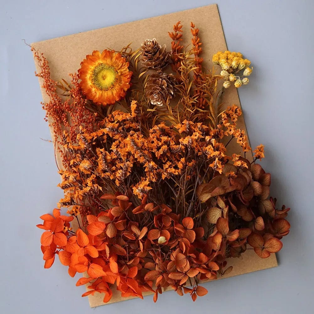Fleurs Séchées en Vrac Rouges Orangées pour DIY Maison Gaya Fleurs en vrac