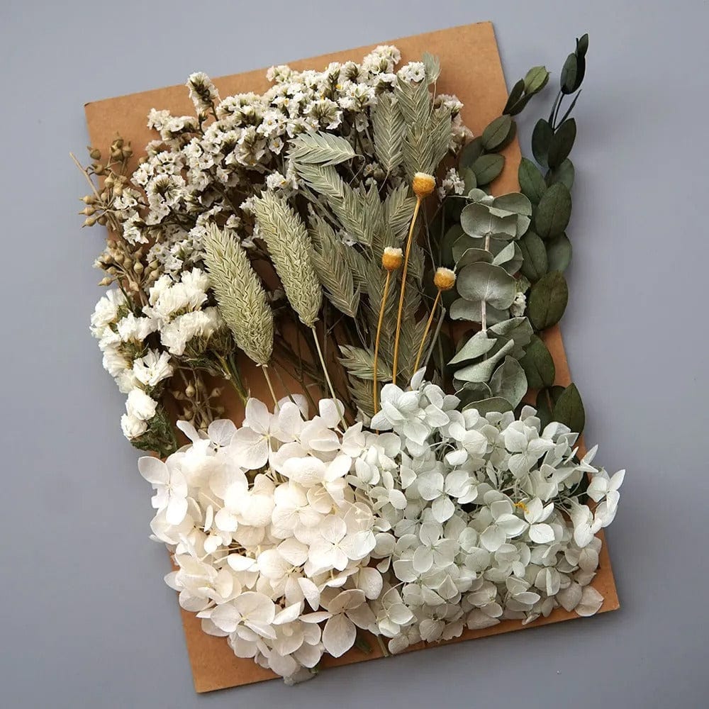 Fleurs Séchées en Vrac Vertes et Blanches pour DIY Maison Gaya Fleurs en vrac