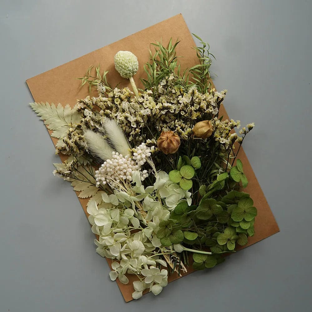 Fleurs Séchées en Vrac Vertes pour DIY Maison Gaya Fleurs en vrac
