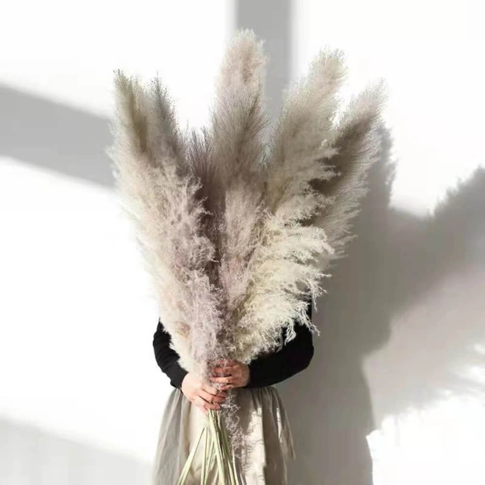 Grandes Herbes de la Pampa Grises Touffues - 115 cm Maison Gaya Herbes de la pampa