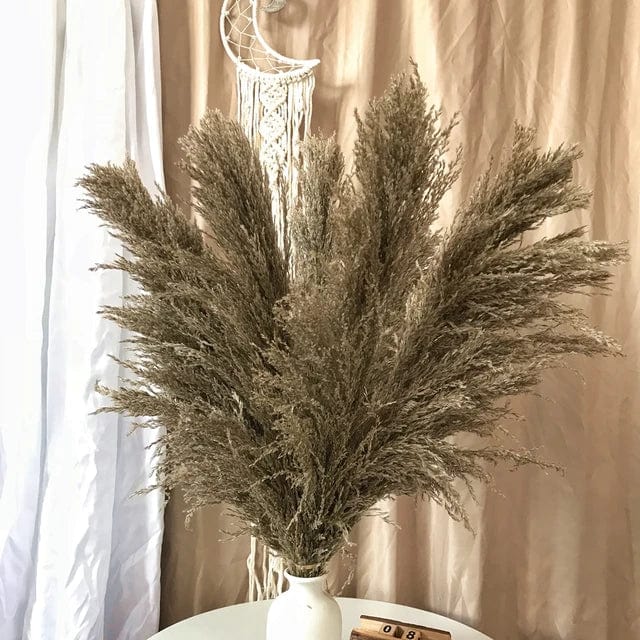 Grandes Herbes de la Pampa Marron Foncé Touffues - 115 cm 5 Maison Gaya Herbes de la pampa