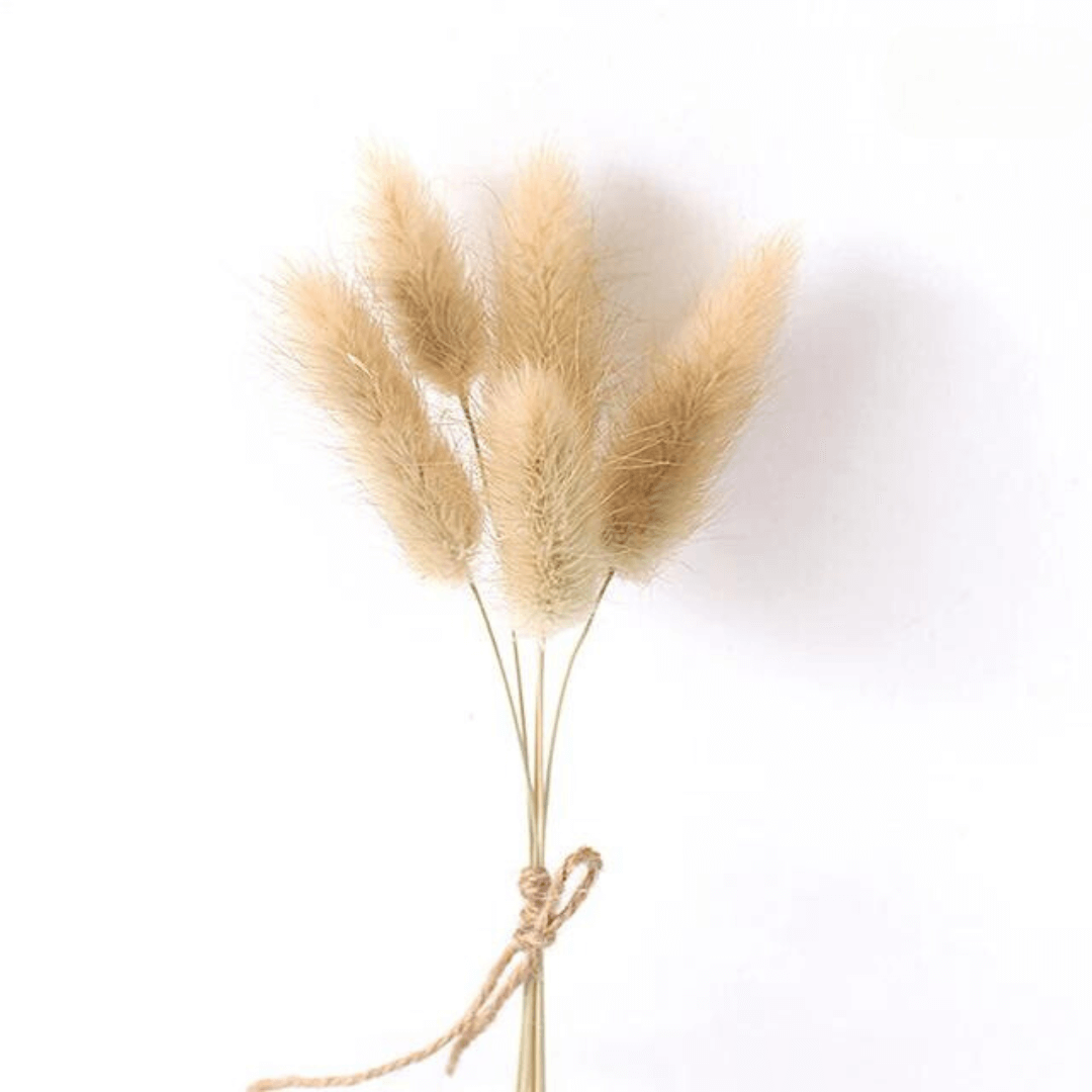 Mini Bouquet de Chatons 1 Maison Gaya Mini bouquet