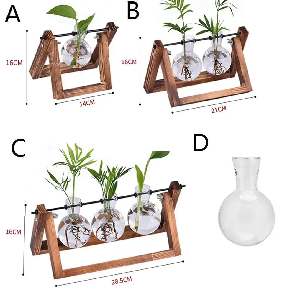 Vase Hydroponique en Bois Fleurs-Séchées Gaya Vase en verre