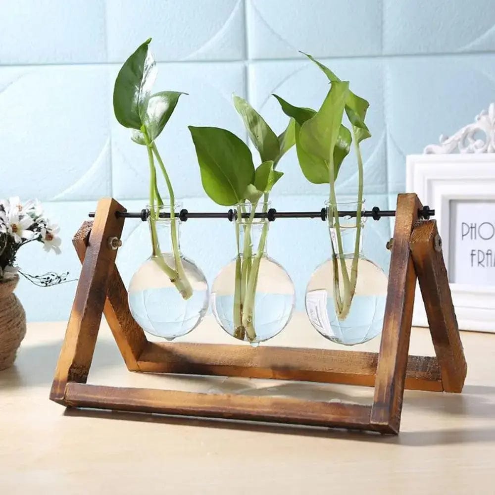 Vase Hydroponique en Bois Trois Fioles Fleurs-Séchées Gaya Vase en verre