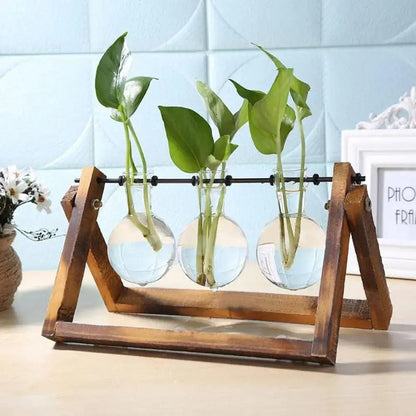 Vase Hydroponique en Bois Trois Fioles Fleurs-Séchées Gaya Vase en verre
