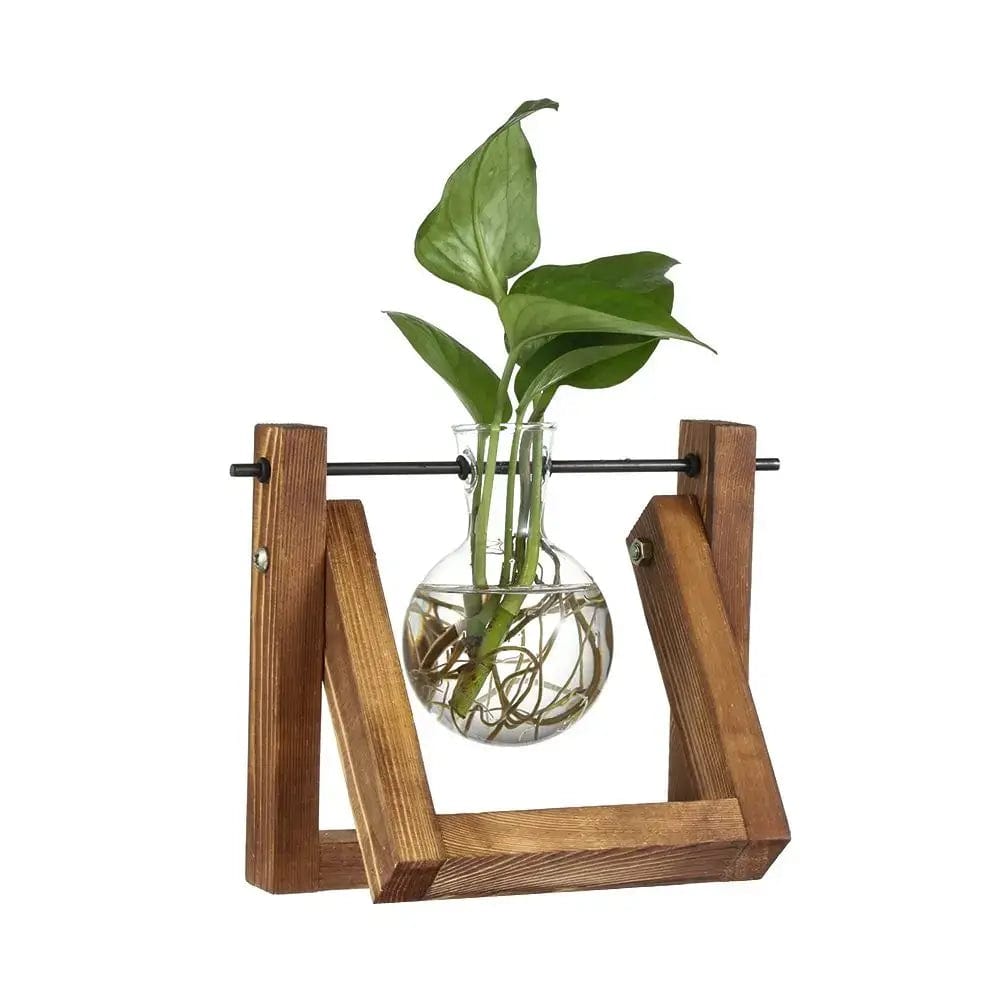 Vase Hydroponique en Bois Une Fiole Fleurs-Séchées Gaya Vase en verre