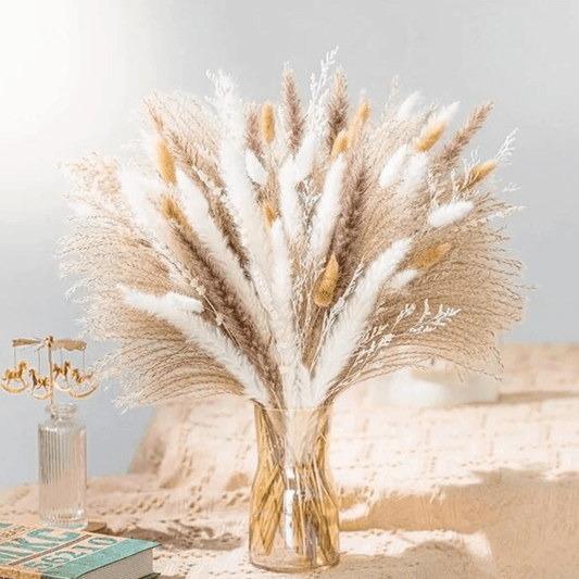 Bouquet de Fleurs Séchées Pampas Beige Ayita Maison Gaya Herbes de la pampa