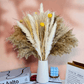 Bouquet de Fleurs Séchées Pampas Beige Talulah Maison Gaya Herbes de la pampa
