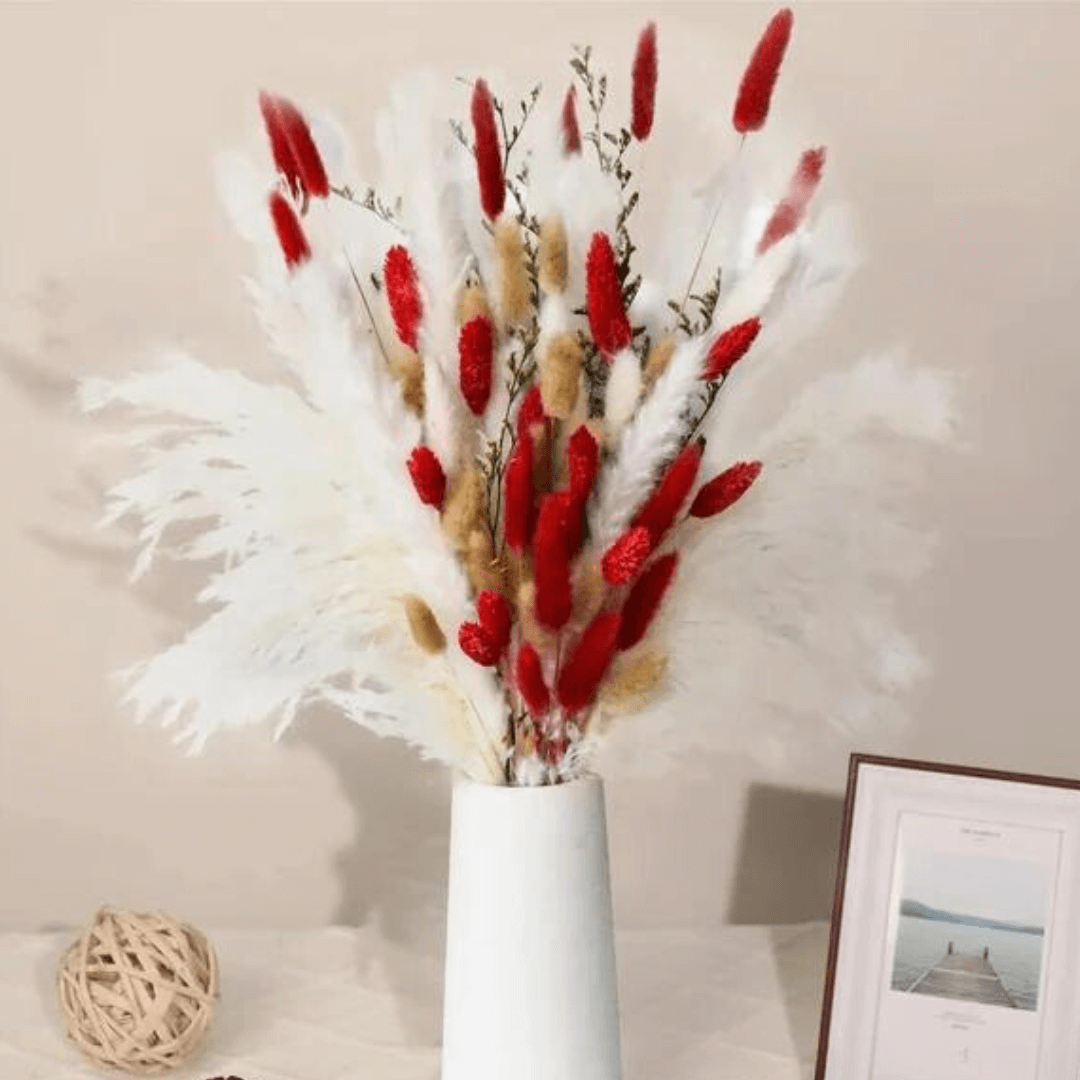 Bouquet de Fleurs Séchées Pampas Rouge Romantique Maison Gaya Herbes de la pampa