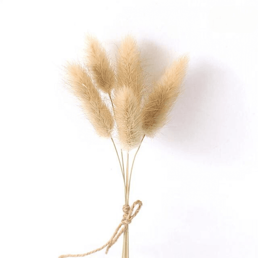 Mini Bouquet de Chatons 1 Maison Gaya Mini bouquet